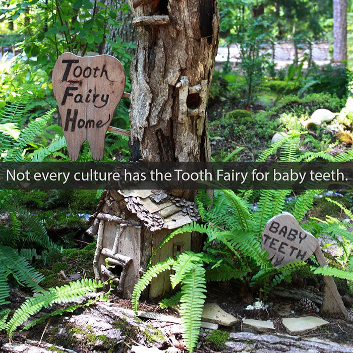 - Roberts Wellness Dental - Centralia Dentist
